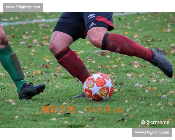 足球比赛无插件高清流畅在线观看全平台实时精彩呈现赛事覆盖广泛 - 副本 (6) - 副本 - 副本